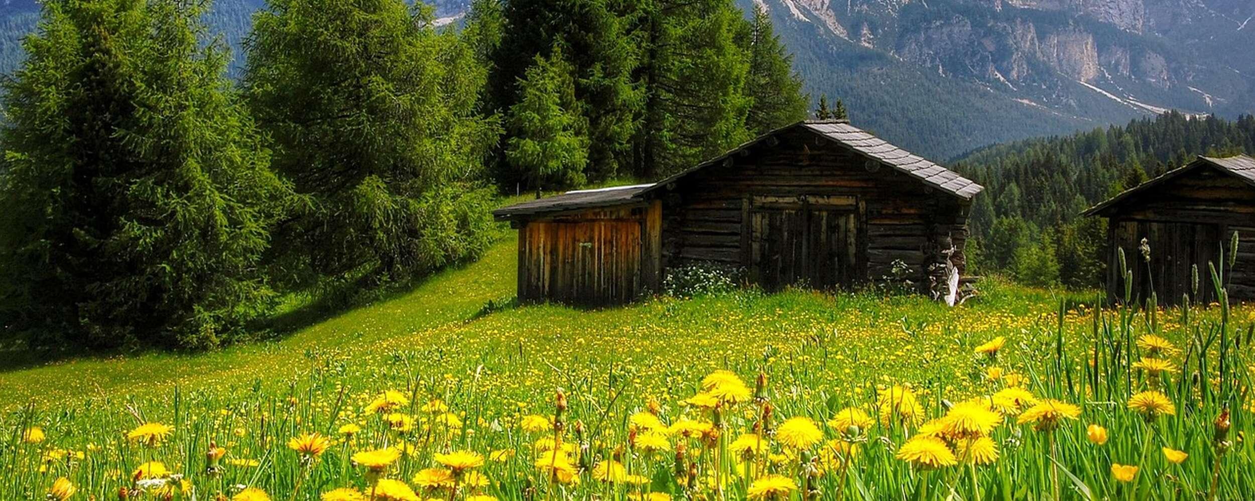 "Bewegter Sommer"– Sommerwanderwochen