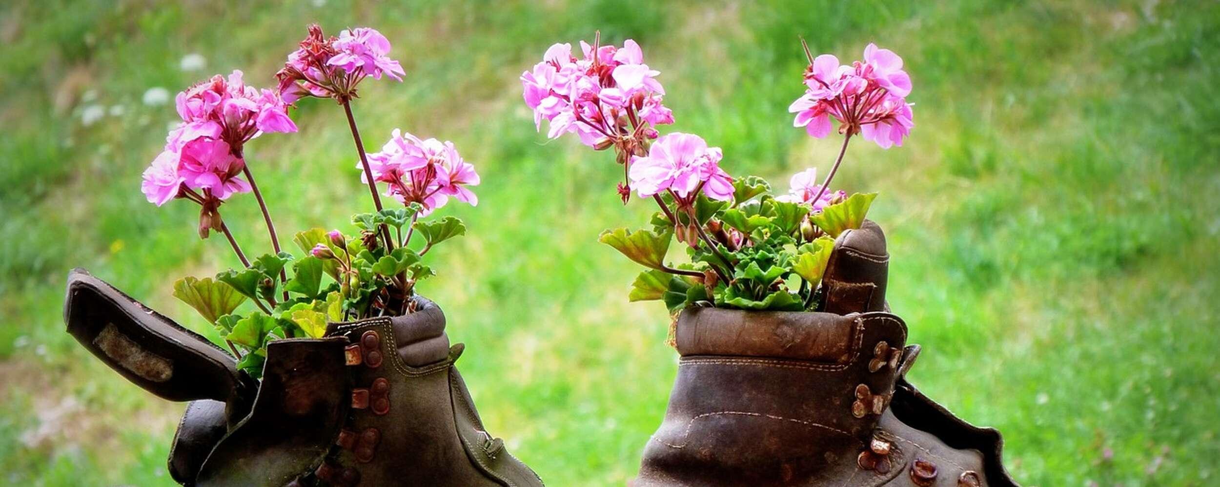 Genusswanderwochen im Sommer