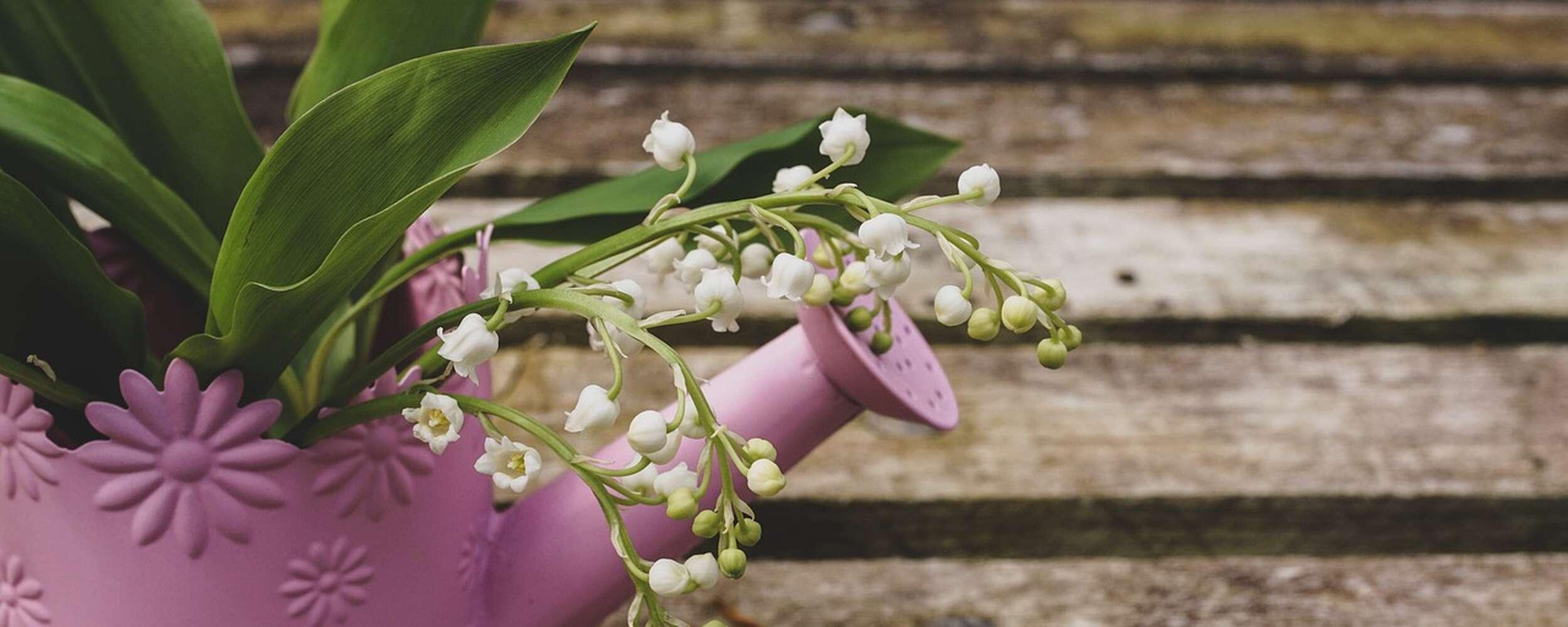 Lovely month of May – pleasure meets relaxation Lovely month of May – pleasure meets relaxation