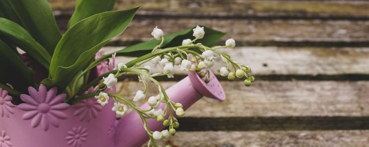Mese di Maggio della gioia – il piacere incontra il relax Mese di Maggio della gioia – il piacere incontra il relax