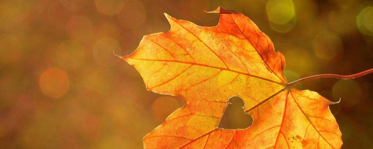 Offerta Autunnale 5=4, 4=3 Offerta Autunnale 5=4, 4=3