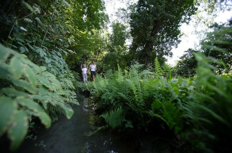 Holidays in South Tyrol: an unforgettable experience Holidays in South Tyrol: an unforgettable experience