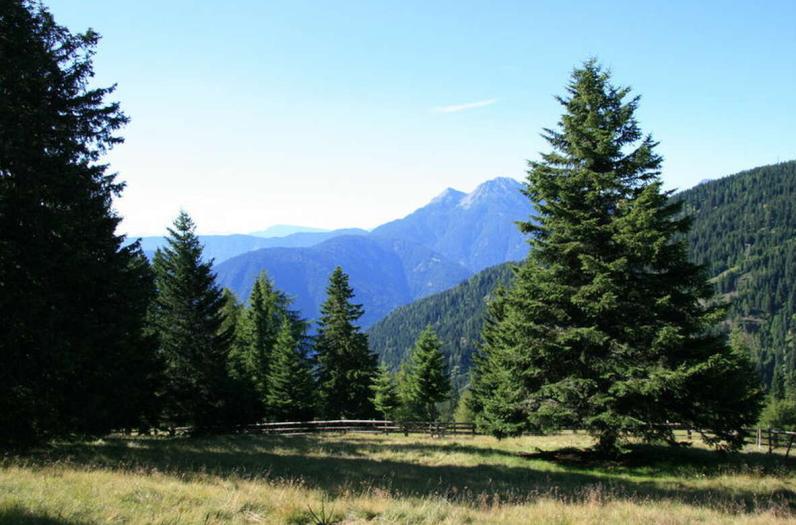 Urlaub in Südtirol: Ein unvergessliches Erlebnis Urlaub in Südtirol: Ein unvergessliches Erlebnis