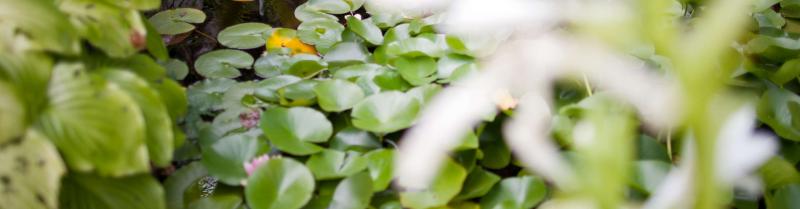 Unsere Gäste Unsere Gäste